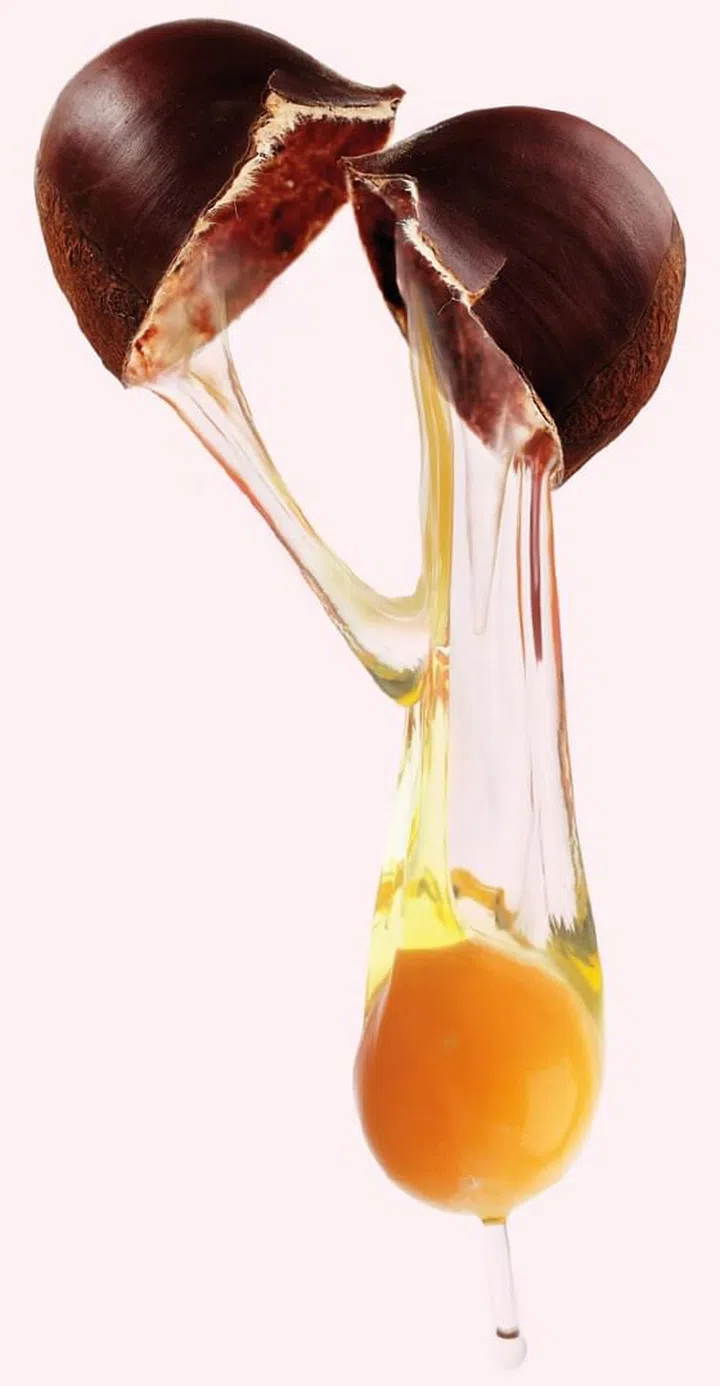 Salt5