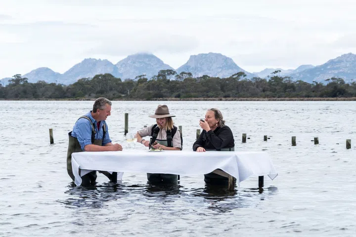 best tasmania farm experiences