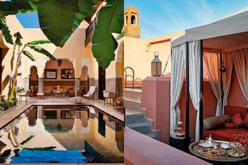 Moroccan odyssey quarantine