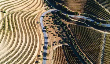 Quinta de Vesuvio