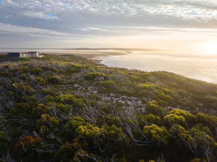 kangaroo island