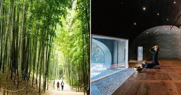 From ginseng spa rituals to healing forests: Rejuvenate at Korea's wellness havens