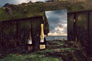 Krug Les Créations de 2004
