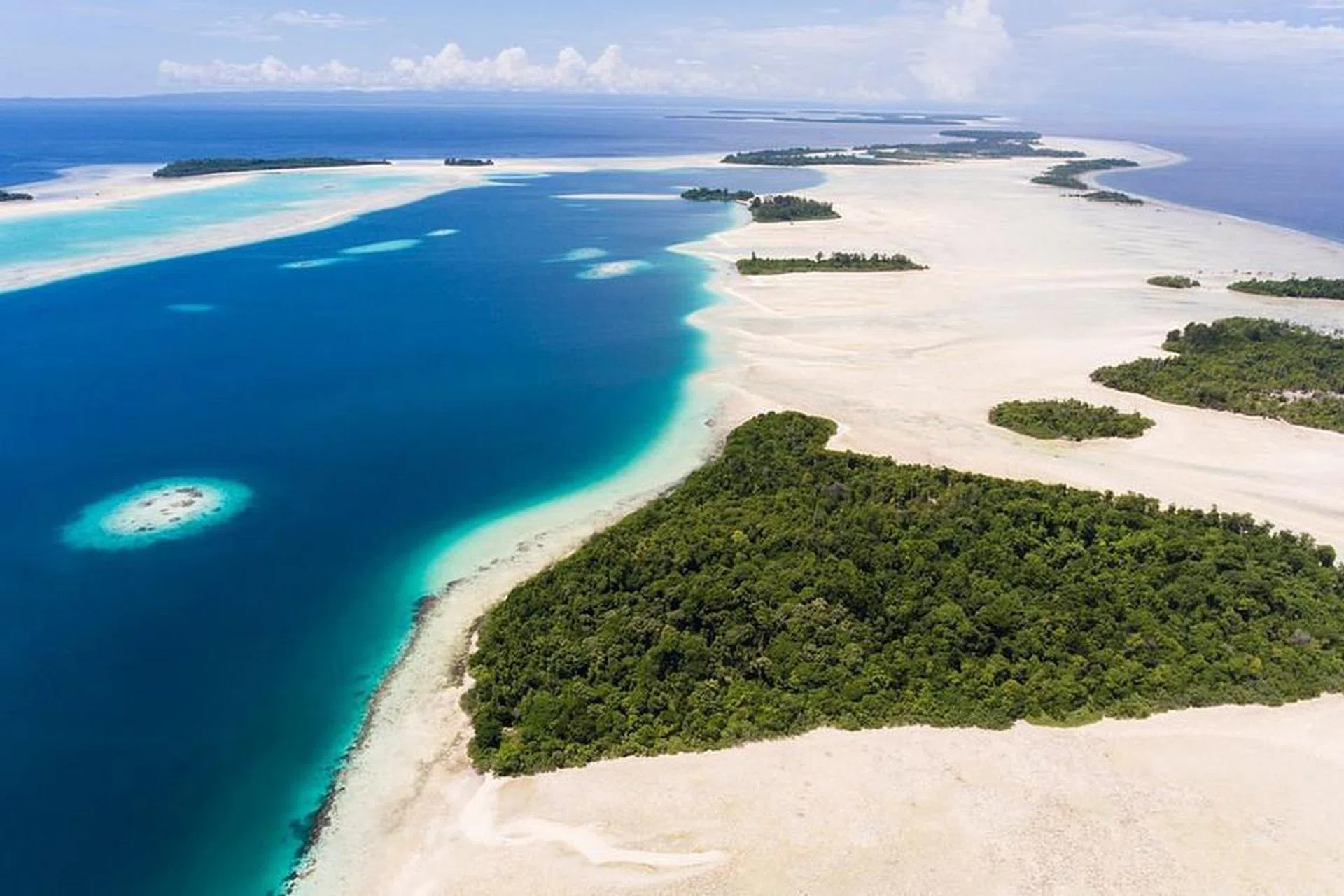 sotheby auction island archipelago indonesia widi sustainability ecosystem