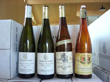 Helmut Donnhoff