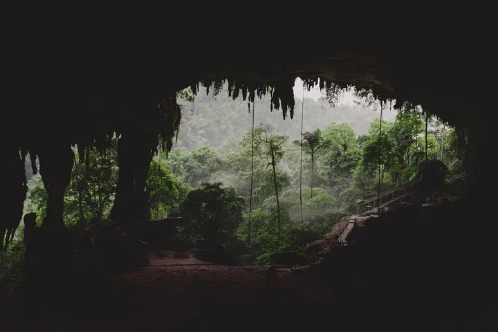 Photo: Arabelle Zhuang