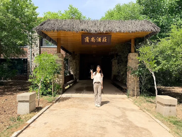 ningxia wines