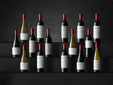 Penfolds 2019 Collection