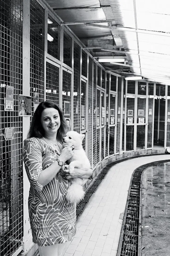 “It’s taking something that is broken and miserable and turning it into something really happy and playful.”