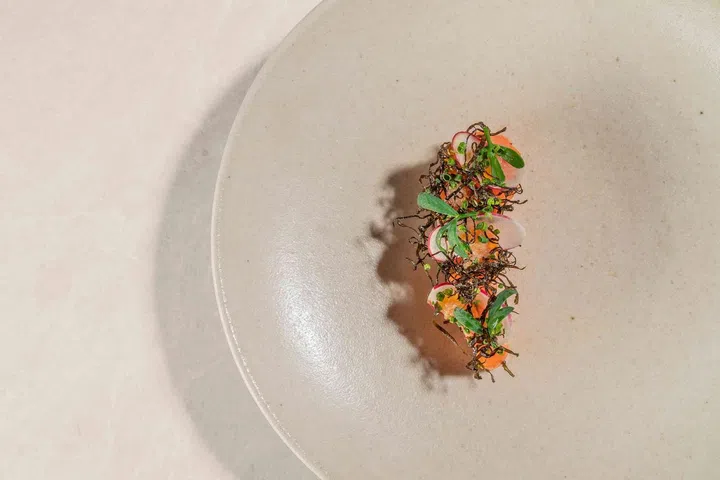 Ora King Salmon, French breakfast radish finger, lime wax pepper fumet. Photo: Marguerite