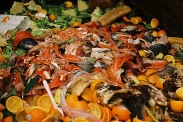 GI Market food waste