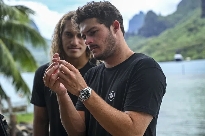 Taiano Teiho and Titouan Bernicot inspect a recently cut piece of coral. It will then be further fragmented and placed into a coral nursery.
