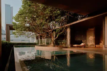 aman nai lert