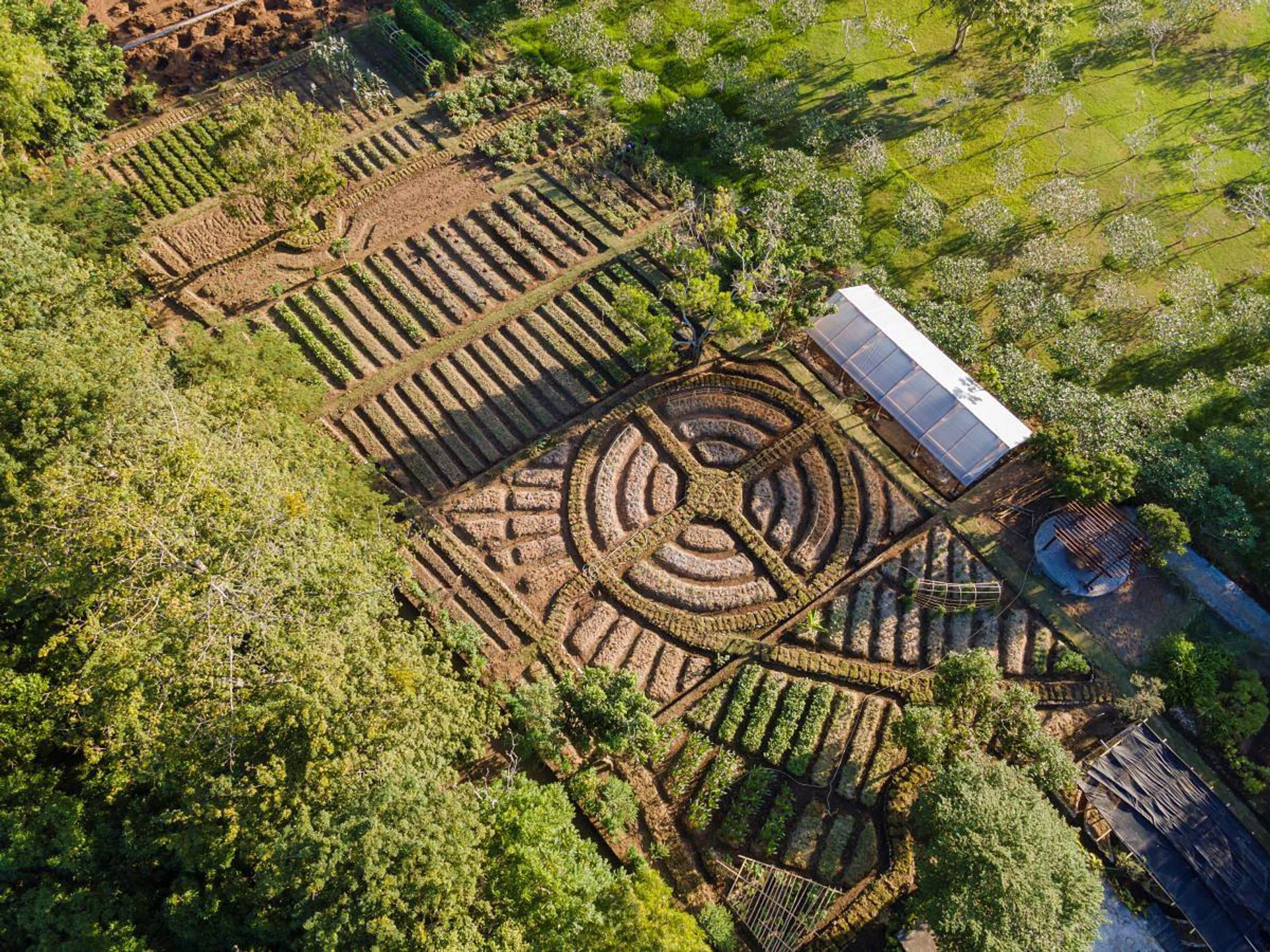 Aerial view of Ayana Farm. (Photo: Ayana Farm)