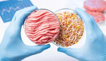 Plant-based alternative meats