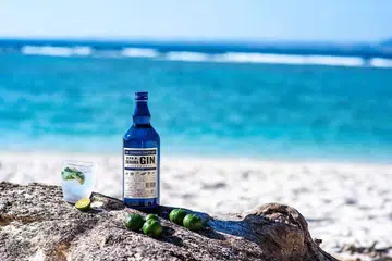 okinawa-gin