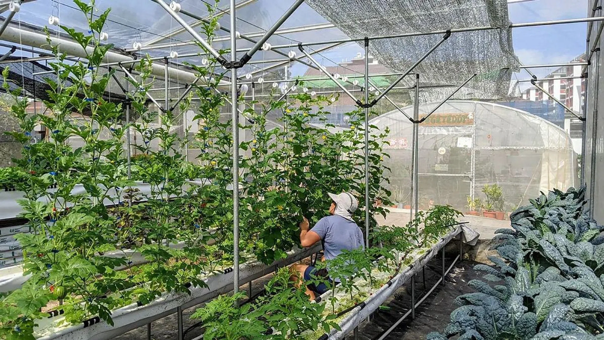 Photo: Natsuki's Garden