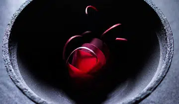 vespertine dish