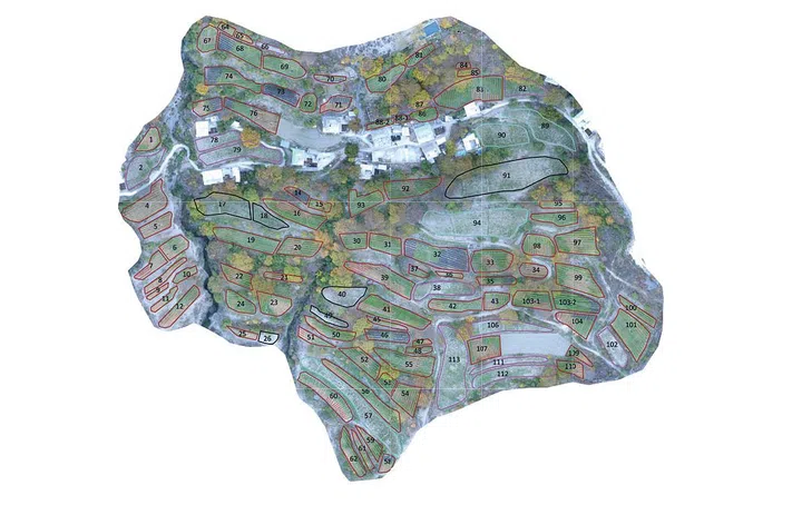 DEVIL IN THE DETAILS To maximise yield and quality, the land is broken up into small individual plots – as indicated in this convoluted map.