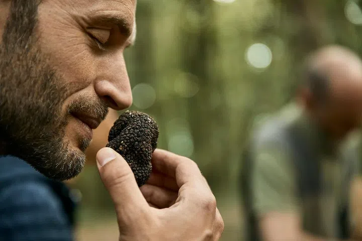 Truffles contain pheromones, making them irresistible to many. (Photo: COMO Hotels & Resorts)