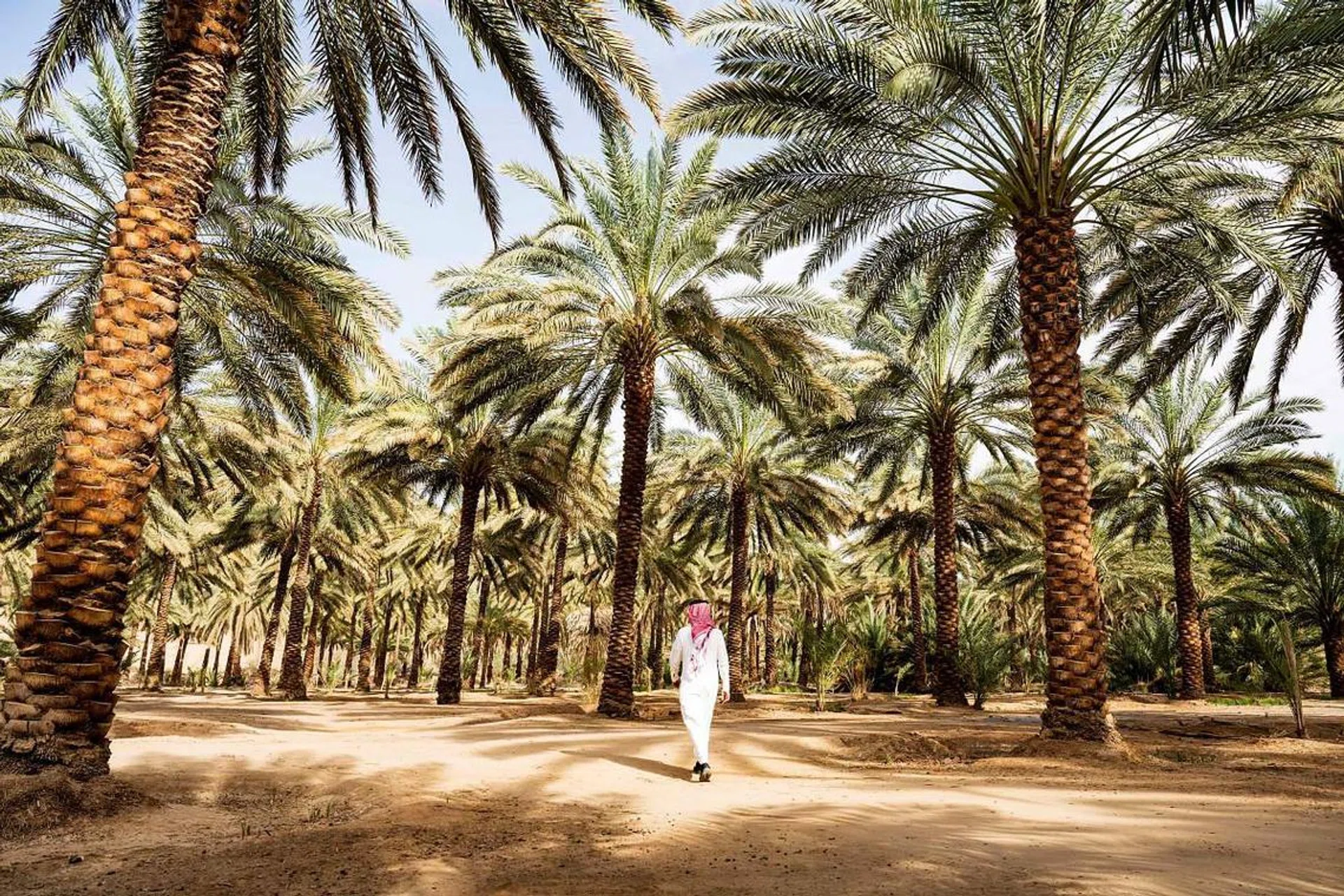 saudi arabia