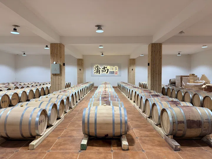 ningxia wines