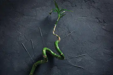 Traditional Chinese Medicine