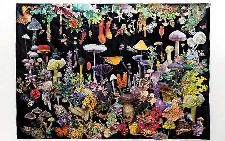 Collage art on canvas The Forest Dark.