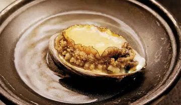 Abalone