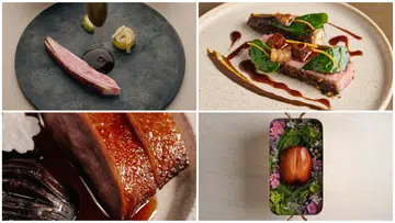 duck dishes