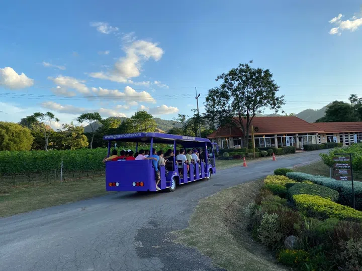 Guests sit on open-air trams as they're brought around GranMonte vineyards. (Photo: GranMonte)