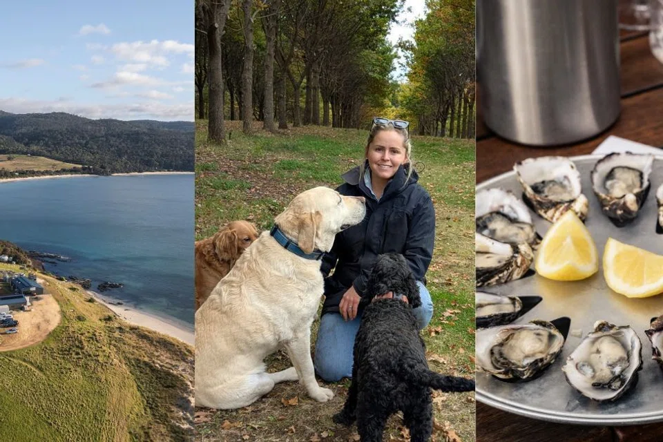 best tasmania farm experiences