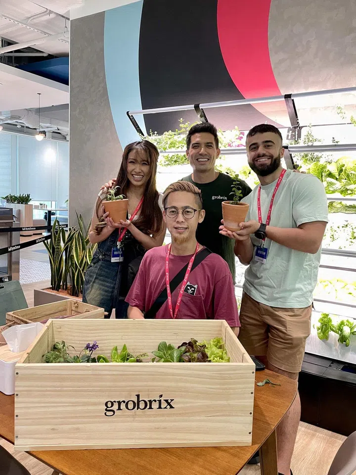 Mathew working together with those at Bytedance to harvest their indoor farm (Image: Grobrix)