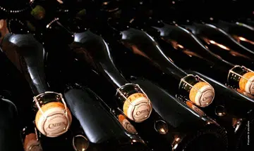 Champagne Cattier