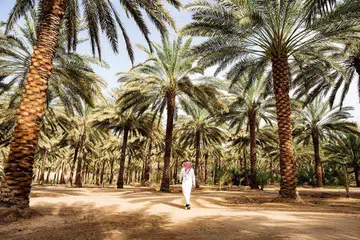 saudi arabia
