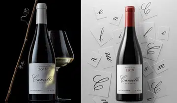 homage-a-camille-roederer (1)