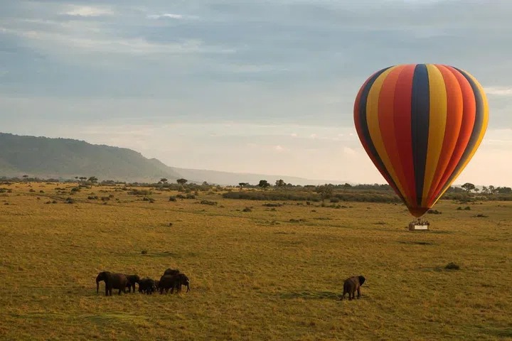 angama amboseli