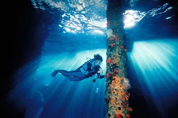 Sylvia Earle 3