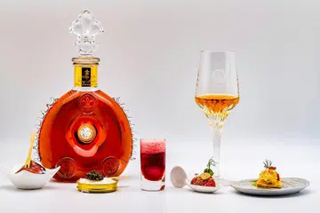 The Five Sensations of Louis XIII