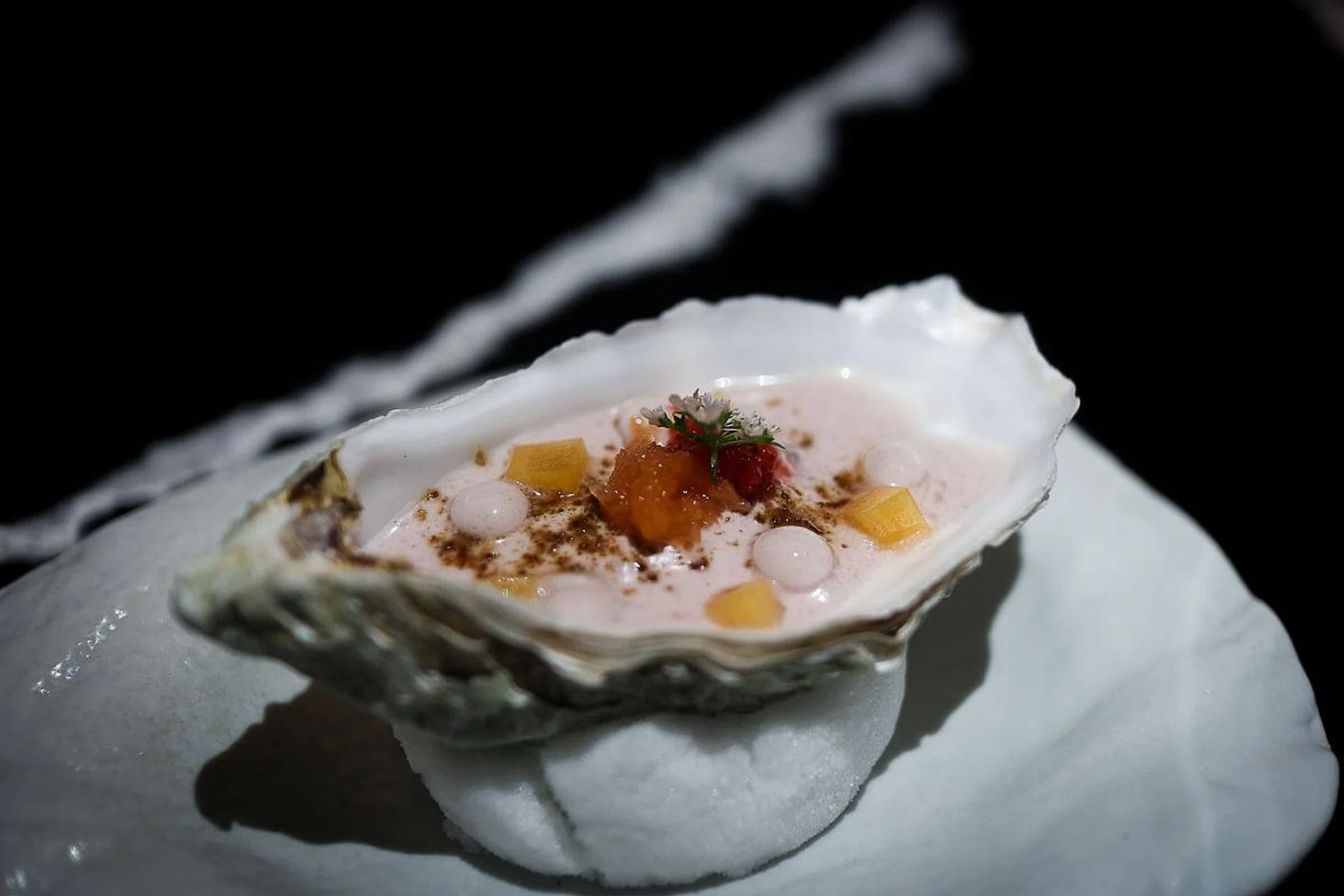 Oyster. (Photo: Zat Astha)