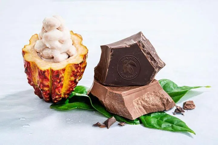 Barry Callebaut's WholeFruit chocolate