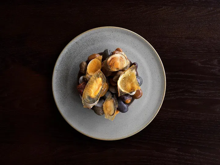 Noma24Jan_0046V2
