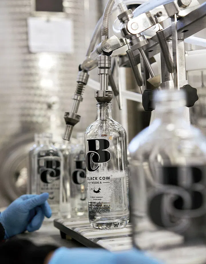 Based on a farm in West Dorset, UK, Black Cow Vodka uses what is left over from grass grazed cows milk after making cheese as its source ingredient. Dairy cows graze on nearby fields while the vodka is distilled and bottled by hand.