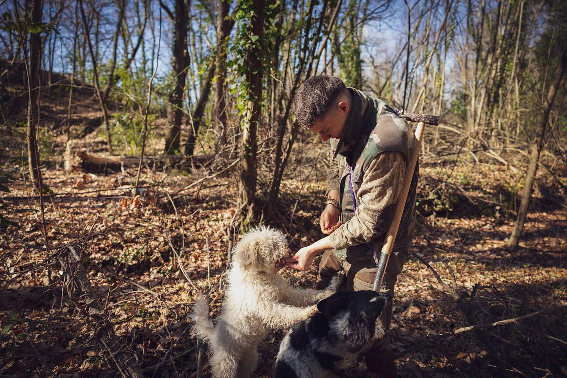 Nasi with Brisa, a Lagotto Romagnolo, on a truffle hunt. (Photo: Oressea)