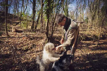 truffle