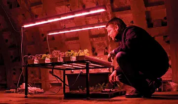 Growing Underground London