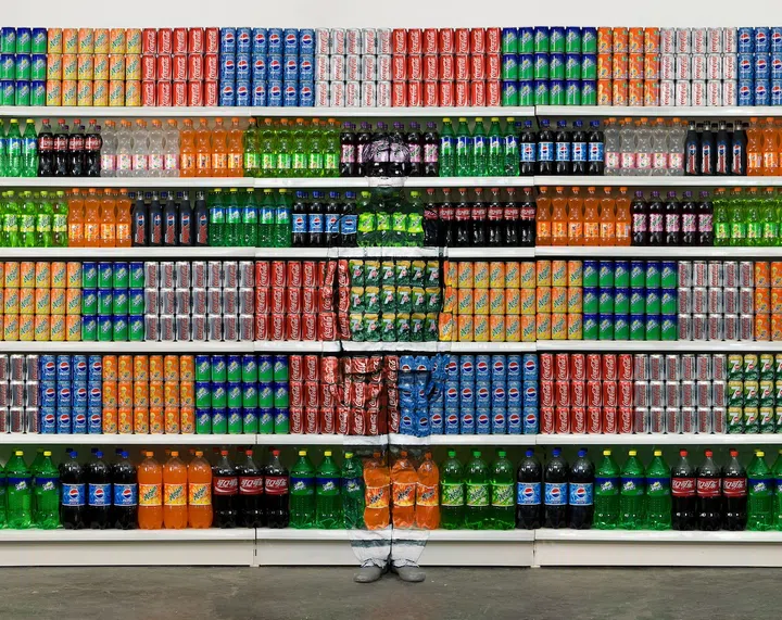 liu bolin