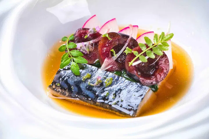 Horse Mackerel. Photo: Anil Riard