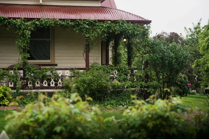 best tasmania farm experiences