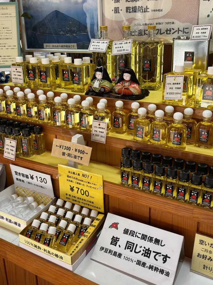 onsen ryokan near Tokyo